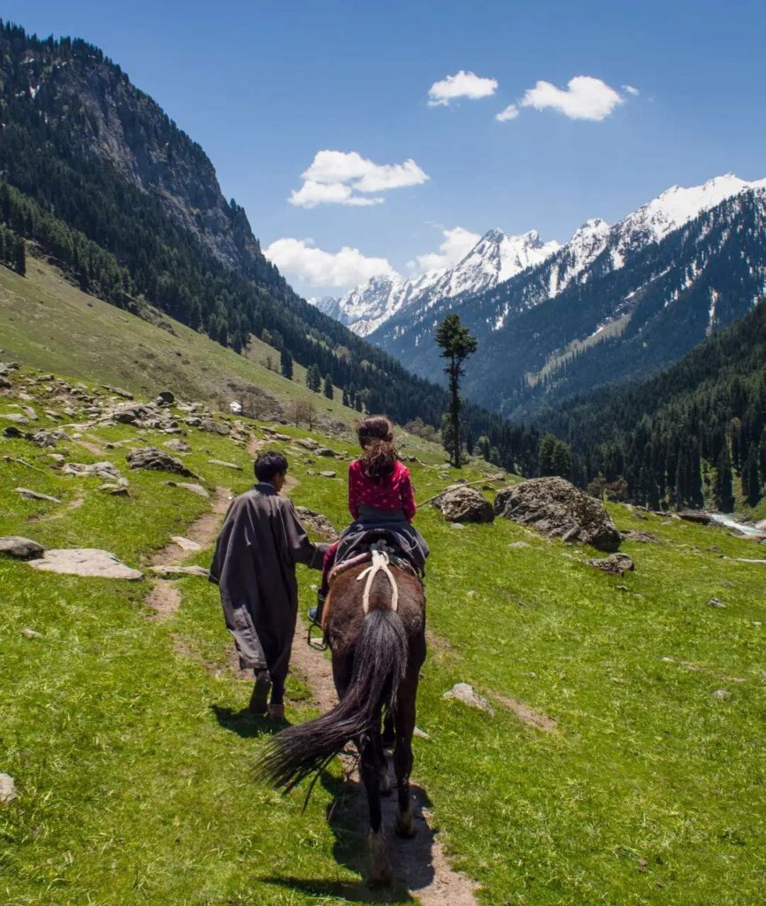 picture-captured-during-lidderwat-trek